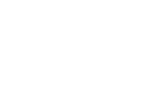 Snowbird